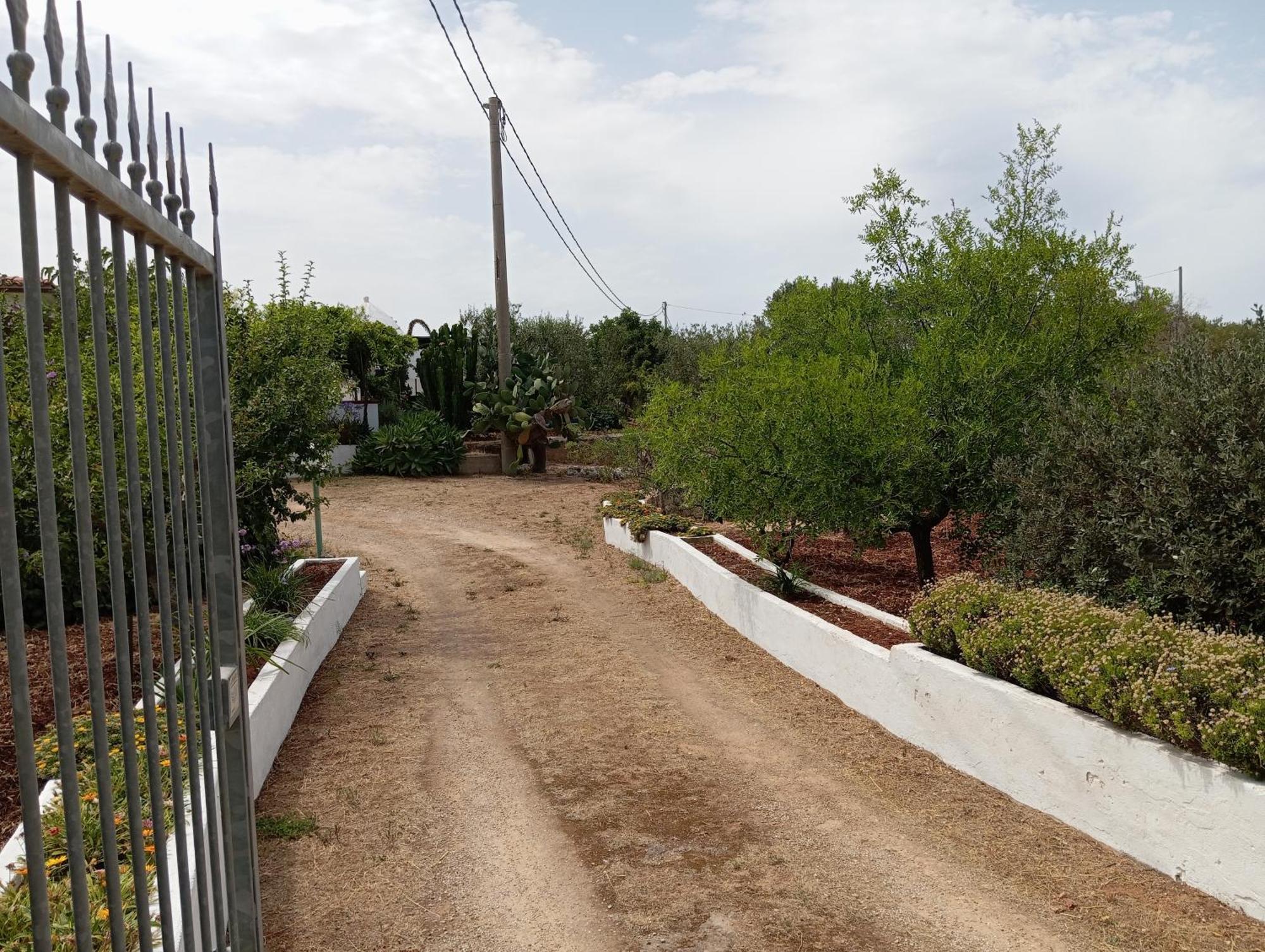 Villa Del Sole Specchiolla Dış mekan fotoğraf