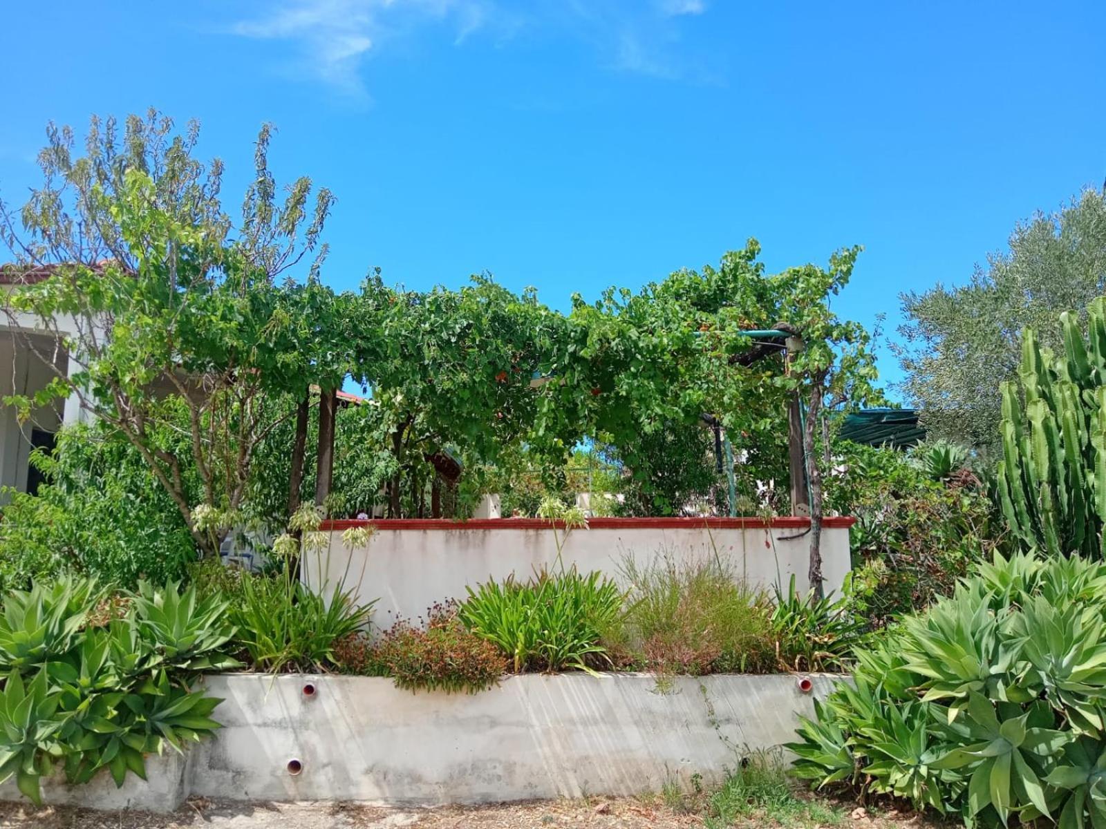 Villa Del Sole Specchiolla Dış mekan fotoğraf