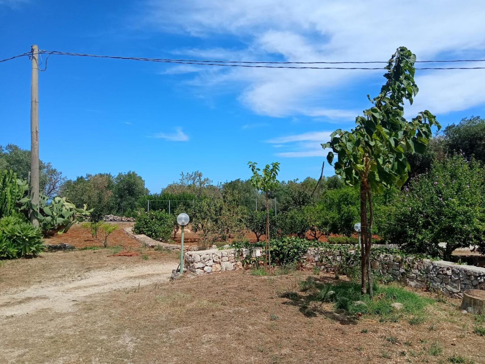 Villa Del Sole Specchiolla Dış mekan fotoğraf