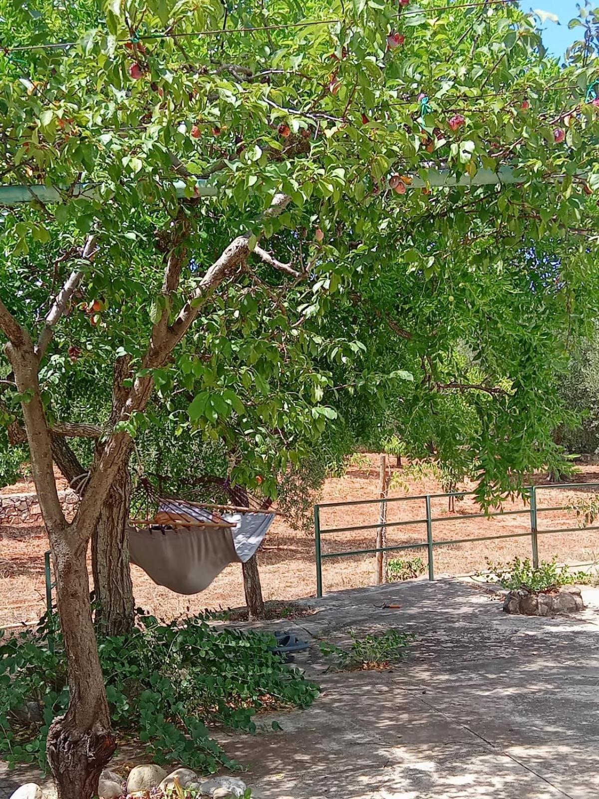 Villa Del Sole Specchiolla Dış mekan fotoğraf